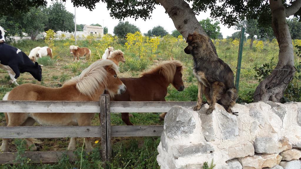 Masseria Boscorotondo Scicli Eksteriør bilde